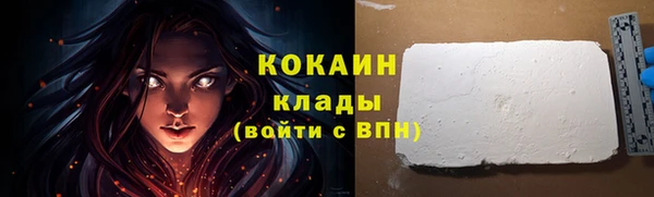 твердый Няндома