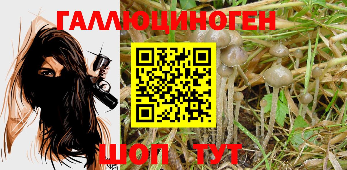 Псилоцибиновые грибы MAGIC MUSHROOMS  Зеленодольск  Псилоцибиновые грибы Psilocybe 